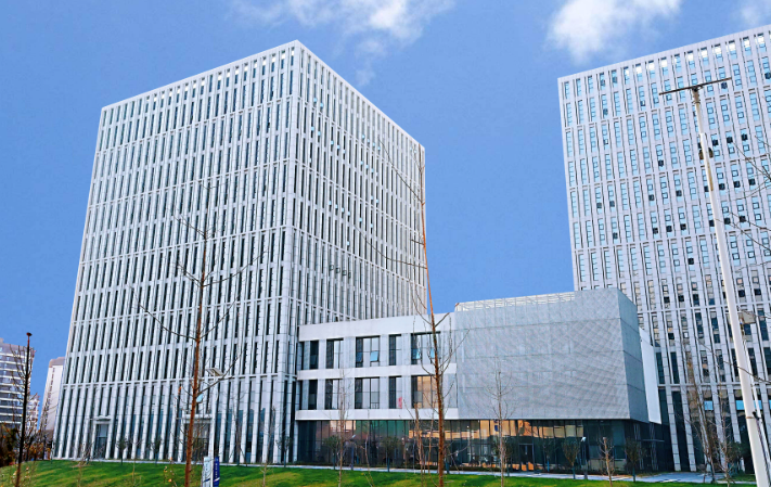 2024东莞SEO优化服务价格走势与中小企业选型建议